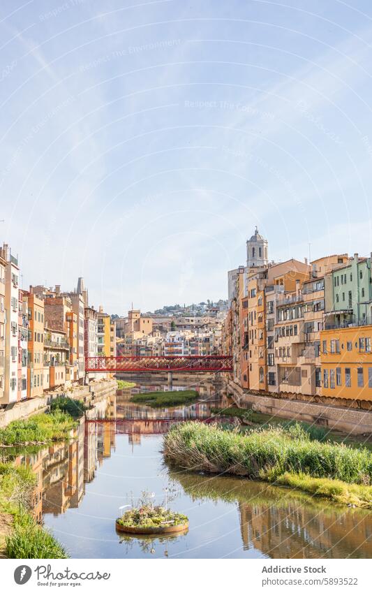 Girona Flowers Festival 2024, Spain ancient architecture artistic bridge building catalan catalonia cathedral church city city landscape colourful day decorated