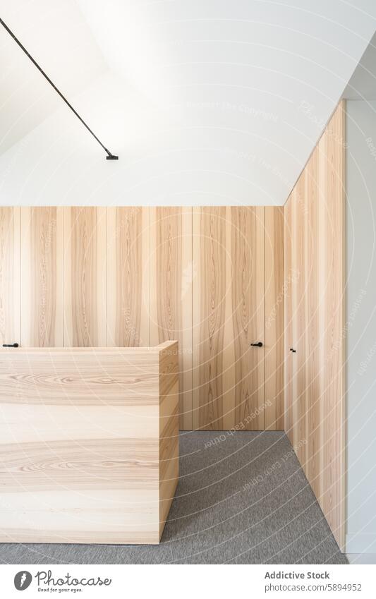 Modern dental clinic interior with minimalistic wood paneling modern reception desk wall ceiling bright warm welcome lighting design health care architectural