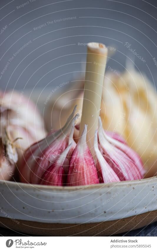 Close-up view of fresh garlic cloves in a ceramic bowl ingredient cooking culinary food kitchen natural seasoning spice bulb raw organic healthy nutrition diet