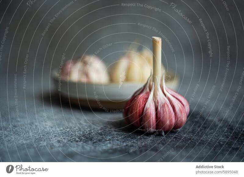 Fresh garlic bulbs on textured backdrop clove ingredient cooking kitchen fresh natural food seasoning aromatic spice organic close-up culinary raw vegetable