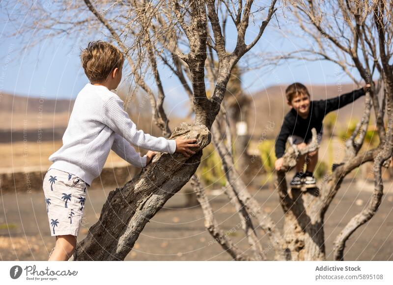 Boys climbing a tree at park, one looking at camera boys siblings autumn outdoor play nature smile gaze looking down child youth enjoyment activity fun leisure