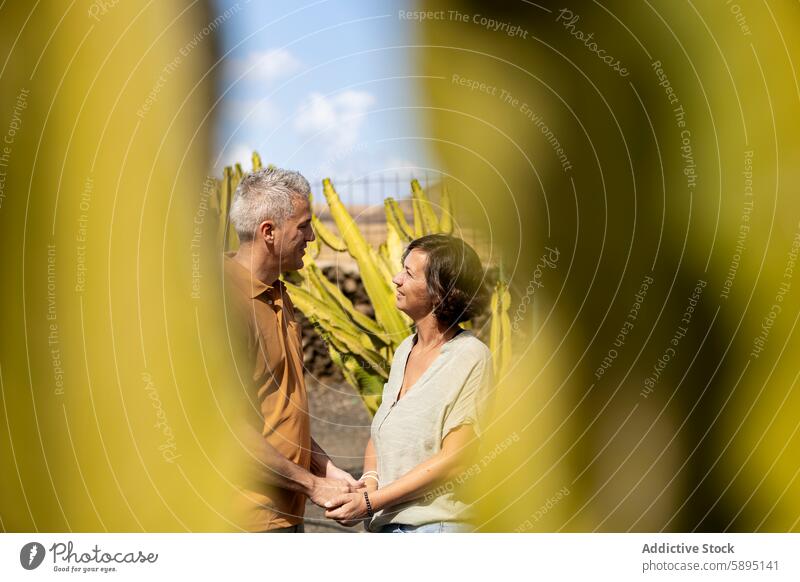 Mature couple holding hands, gazing at each other outdoors man woman mature affection love connection natural foliage blurry close-up gentle peaceful mutual