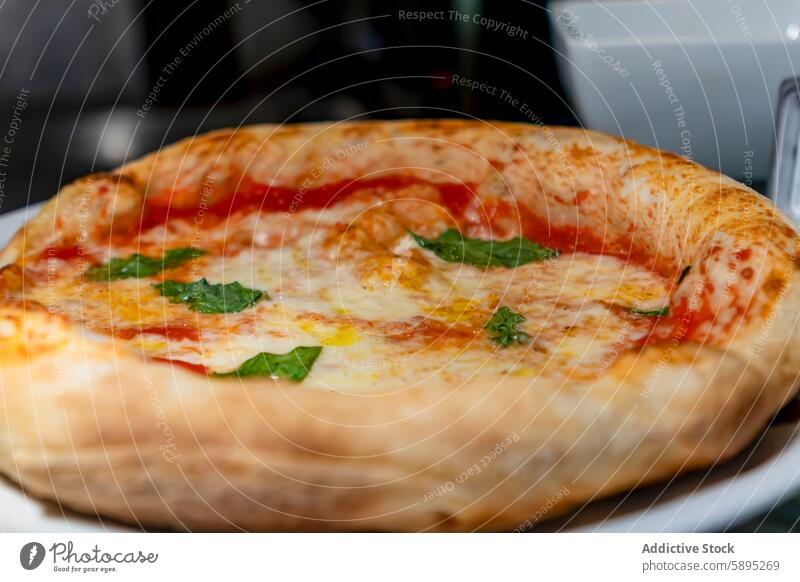 Close-up view of a freshly made Neapolitan pizza neapolitan food close-up baked tomato sauce mozzarella cheese basil crispy crust meal italian cuisine dish