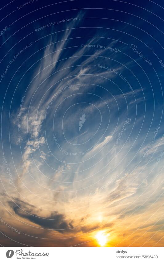 Sunset sky Clouds Cloud pattern colors celestial colours cloud atmosphere Sunlight Orange Blue Sunrise Sky Light Backlight shot