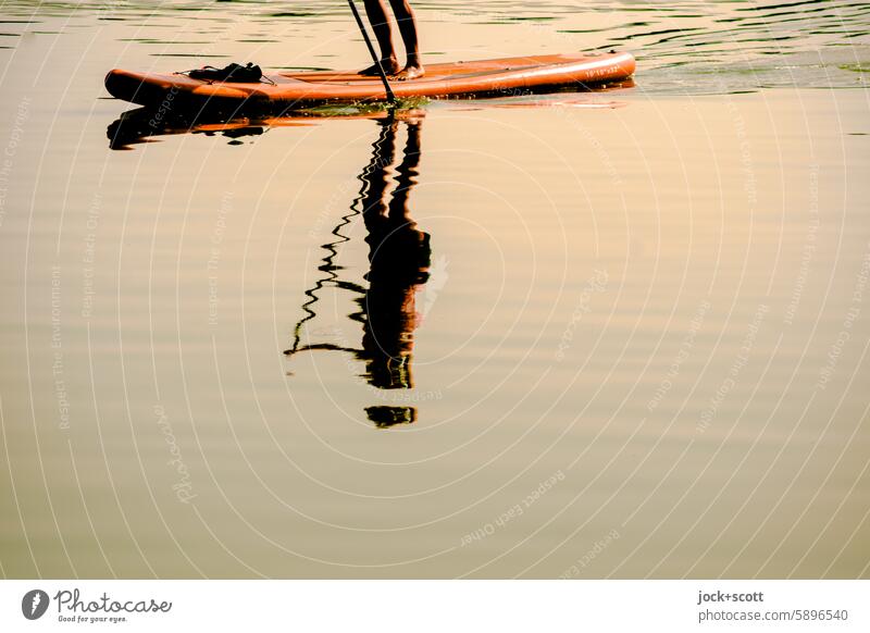 SUP - Stand-Up Paddle SEA Summer Outdoors person people Aquatics paddle up Silhouette Surface of water Reflection Lake Calm Water reflection Summertime Sports