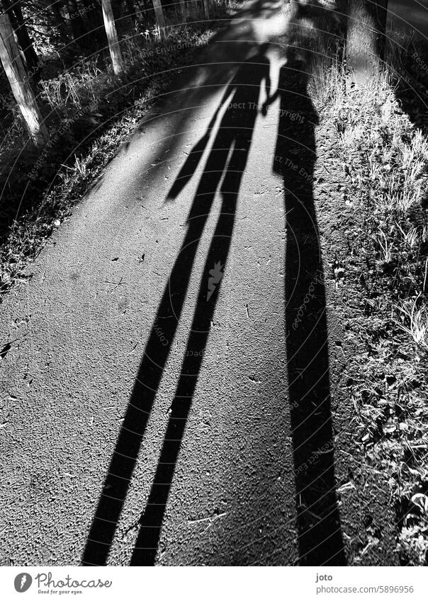 Silhouette of a couple holding hands as a shadow on a path Love love Couple hold hands silhouettes Shadow Lovers shadow cast Shadow image Shadow play