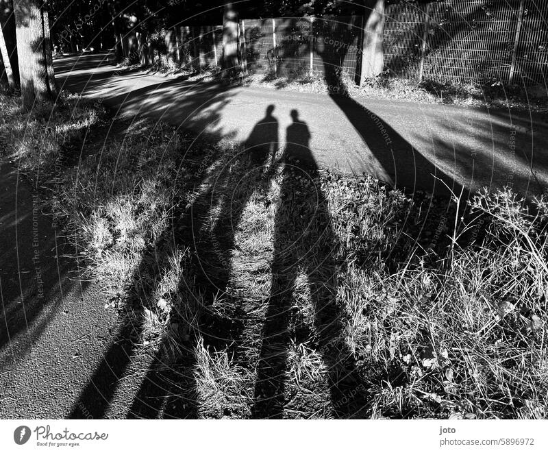 Silhouette of a couple holding hands as a shadow on a path Love love Couple hold hands silhouettes Shadow Lovers shadow cast Shadow image Shadow play