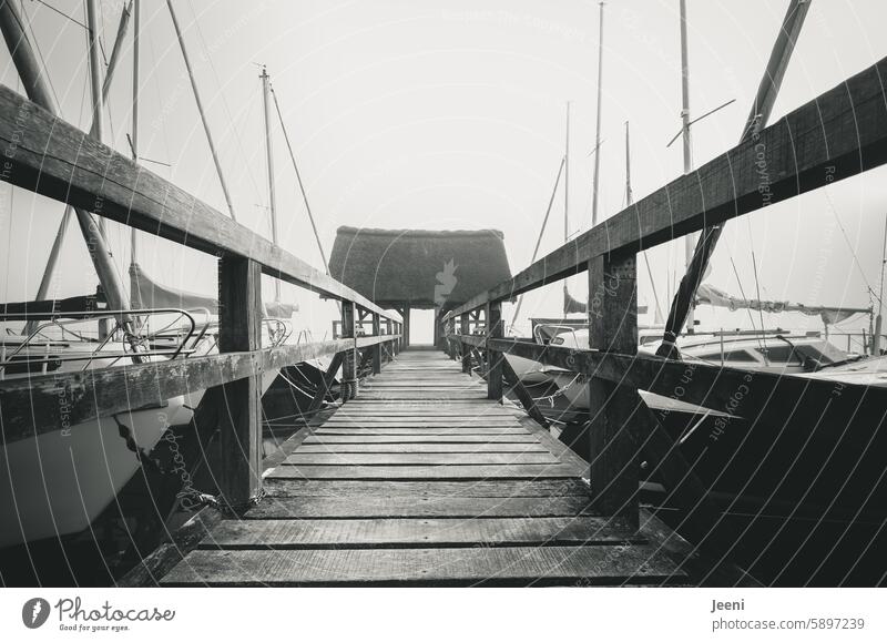 bridge in the fog Lake Fog Footbridge Bridge Water foggy Calm Nature Lonely Moody sailboats Mooring place Wood Landscape Morning Dawn Sunrise Sky Blue sunny