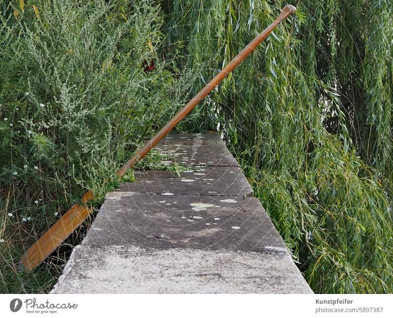 Holzpaddel lehnt, halb von der Trauerweide bedeckt, an der sonnenwarmen Steinmauer. sommer sommerlich erholung urlaub Sommer Freiheit Urlaub Wassersport