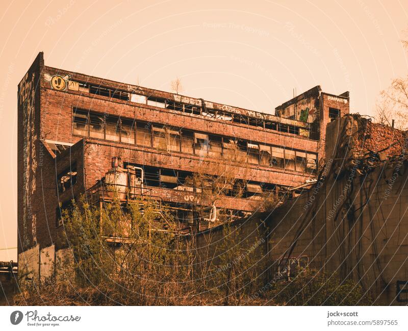 Abandoned industrial culture Industrial heritage factory building Industry Building Historic Leipzig Ravages of time lost places forsake sb./sth. Change