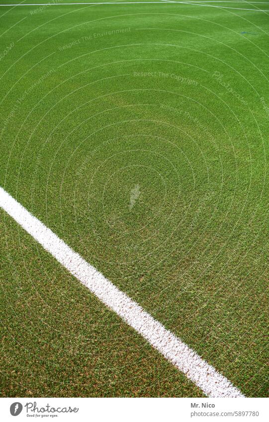 Sideline Grass green Marker line lines training ground Sporting grounds soccer field field marking Soccer training Lawn Sporting event Artificial lawn Line