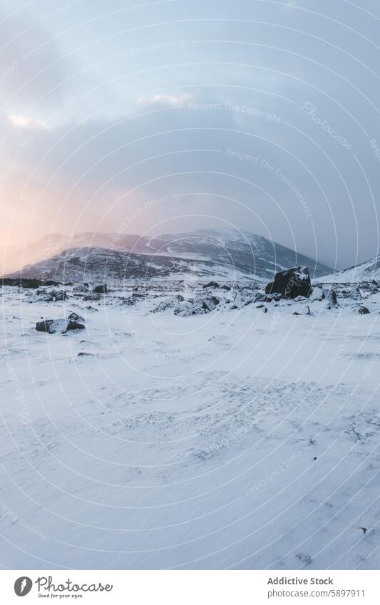 Winter landscape in the mountains of Palencia winter curavacas espiguete palencia snow morning light serene frosty slope rock cold nature scenic tranquil