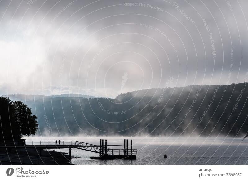 Mornings at Lake Constance Silhouette Water Footbridge Fog Dawn Moody Loneliness Nature Environment Contrast Shadow Light Lakeside Landscape Calm Forest Summer