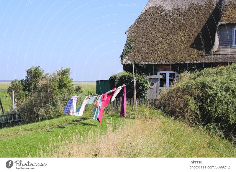 Hallig Gröde | Laundry drying on the Hallig Summer North Sea Mud flats reverberant pitched Nature Landscape clothesline clothes drying Air Sunlight Wind