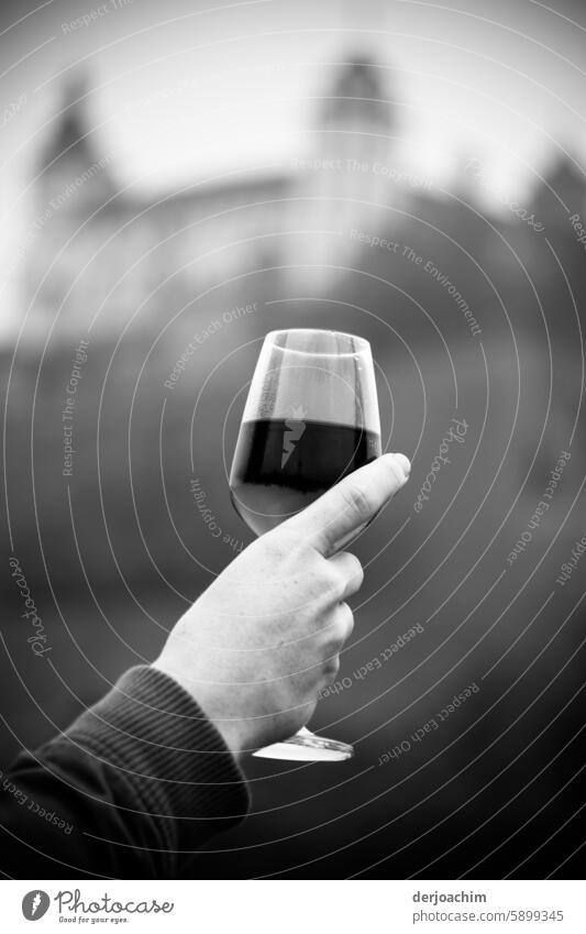 pretty wicked / No one can refuse a glass in honor. A glass of wine on the Old Bridge in Würzburg. Wine glass To enjoy Vine Alcoholic drinks Glass Drinking