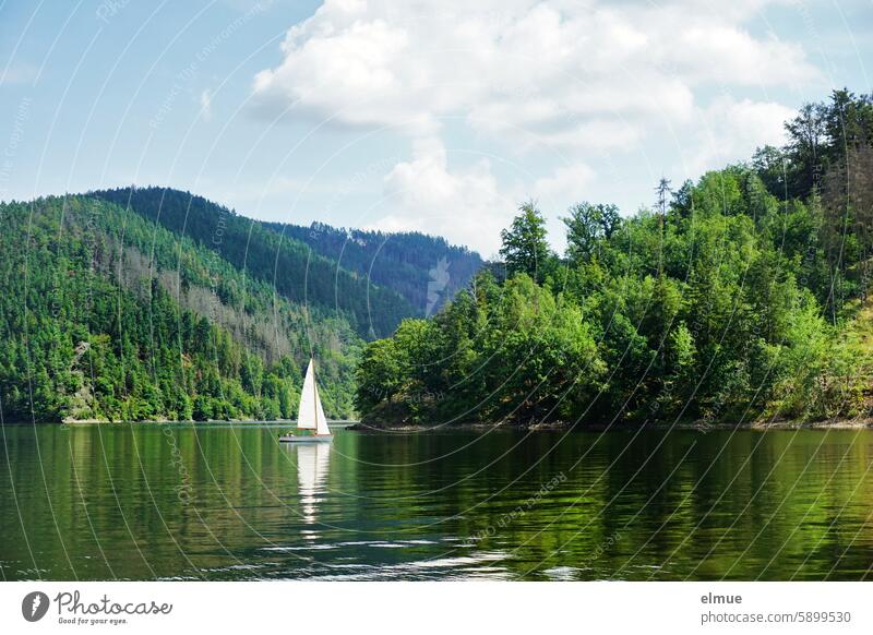 Sailing boat on the Hohenwarte reservoir Sailboat Hohenwarte Reservoir Summer local recreation River dam Hohenwartet dam Hohenwart Reservoir Saale Relaxation