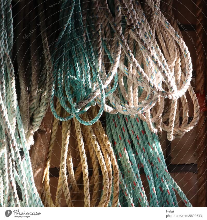 Hallig Gröde | Ropes in the sunlight Dew hung Arrangement Sunlight Light Shadow Colour photo Deserted Detail Maritime leash Blue Gray Beige Brown Close-up