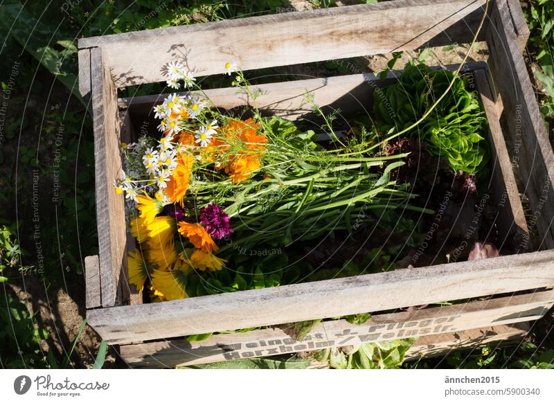 Wooden box filled with vegetables and flowers Harvest acre Crate Vegetable marigolds extension Eating salubriously organic Organic produce Food Nutrition