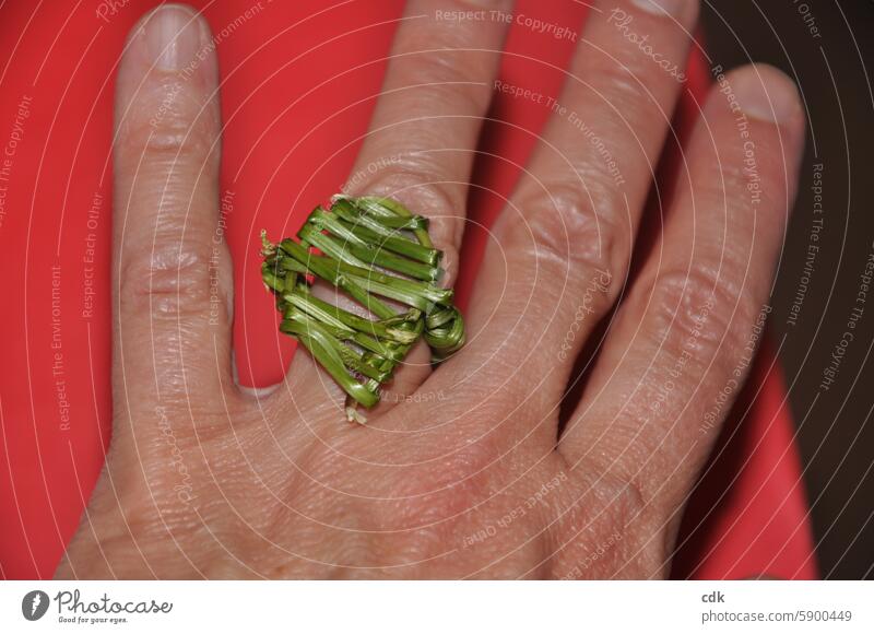 A finger ring, spontaneously woven from blades of grass on a walk. Hand Ring Finger Ring Natural material blade of grass Fingers Women`s hand creatively