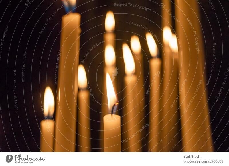 Many lighted candles in a church shoulder stand Candlelight Candle flame Warm light Warm colour Church Light Flame Illuminate Burn Pensive Hope Meditation