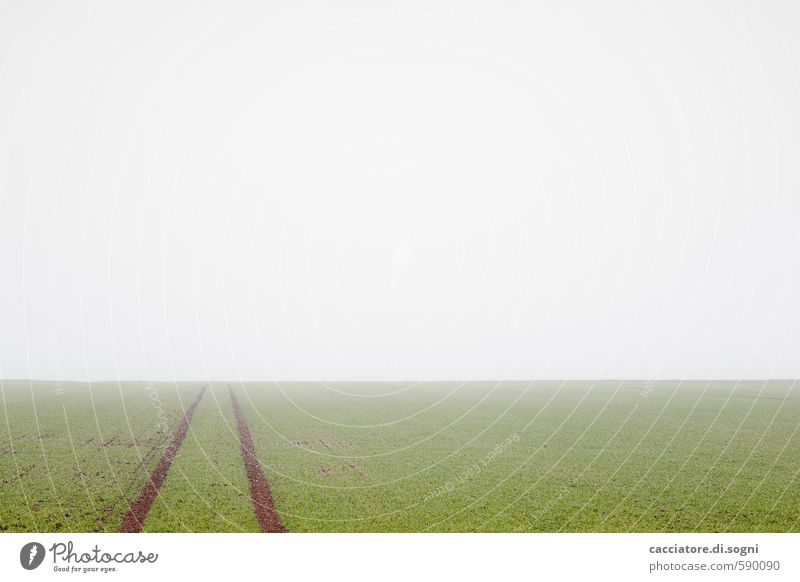 silent Landscape Earth Horizon Autumn Fog Field Line Simple Far-off places Free Infinity Gloomy Green White Caution Patient Calm Modest Humble Longing