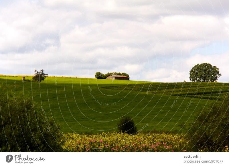 Lonely house on the horizon Farm Field Garden Building farmstead Hesse Courtyard homberg Interior courtyard Cat Cornfield Landscape Agriculture Barn