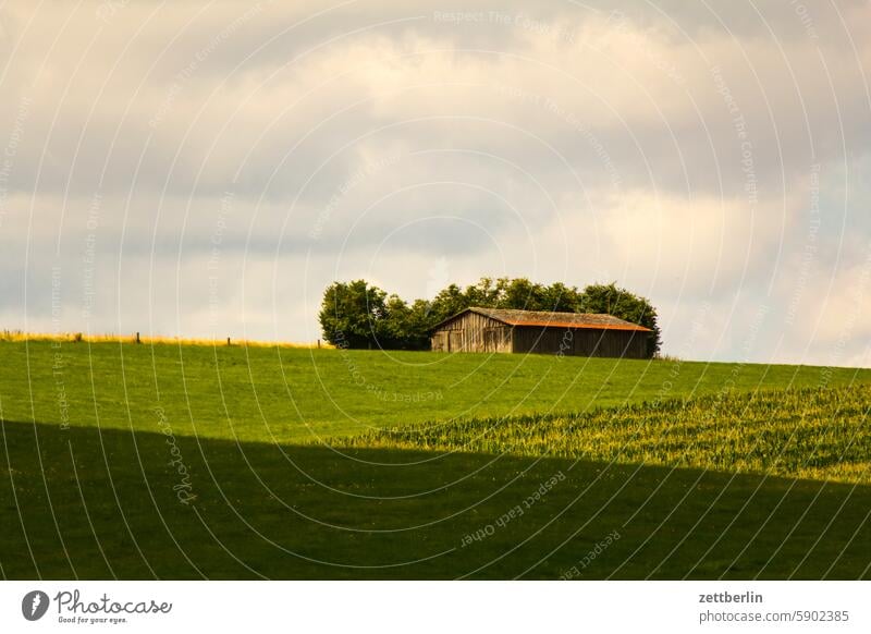 Lonely house on the horizon again Farm Field Garden Building farmstead Hesse Courtyard homberg Interior courtyard Cat Cornfield Landscape Agriculture Barn