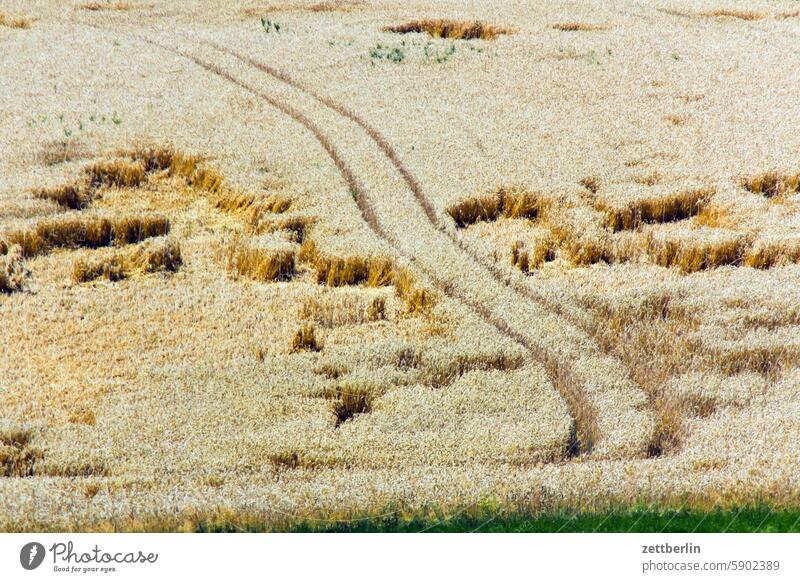 Naughty crop circles Brook Farm Field Garden farmstead getreudefeld Hesse Courtyard Interior courtyard Cornfield Landscape Agriculture schächerbach