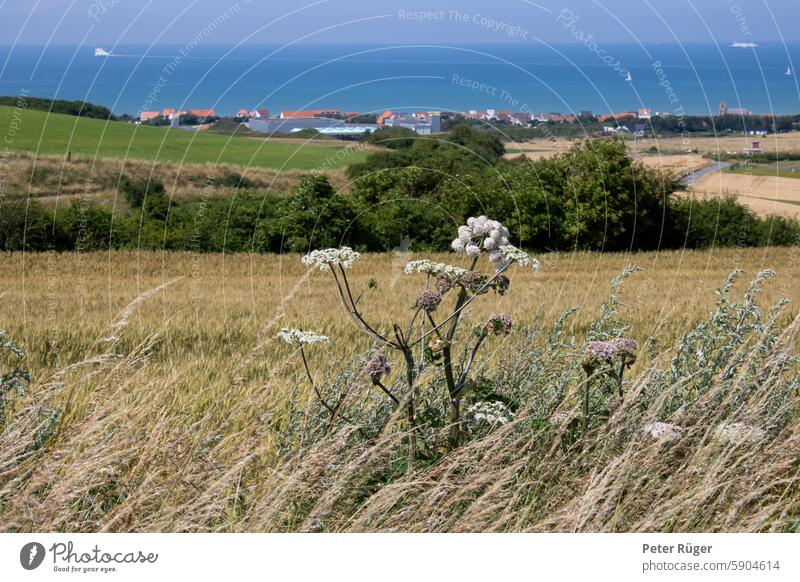 Summery view over the fields to the blue sea sangatte Calais France Landscape Ocean coast Vacation & Travel Tourism Relaxation Water vacation Sky Colour photo