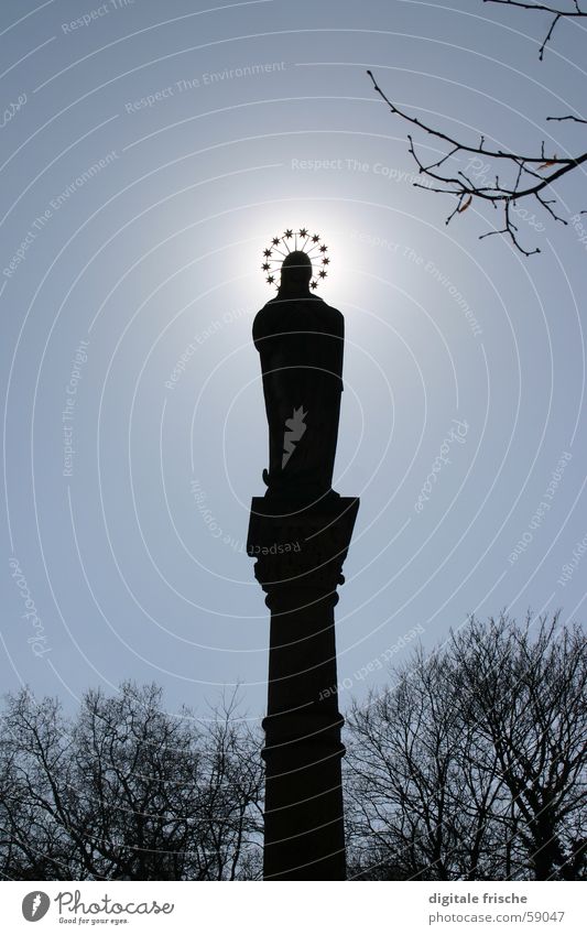 corona Winter Statue Virgin Mary Light Back-light House of worship Duesseldorf Garden Park Sky Column Treetop Star (Symbol) Shadow