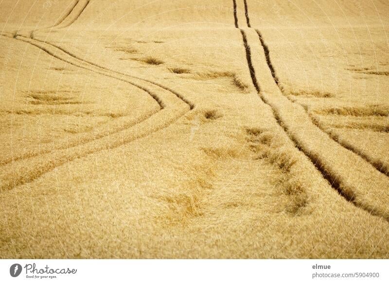 Crop field without a horizon with two guide tracks, one of which is crooked and bent Grain field buckled Detour field economy Agriculture Alcohol problem