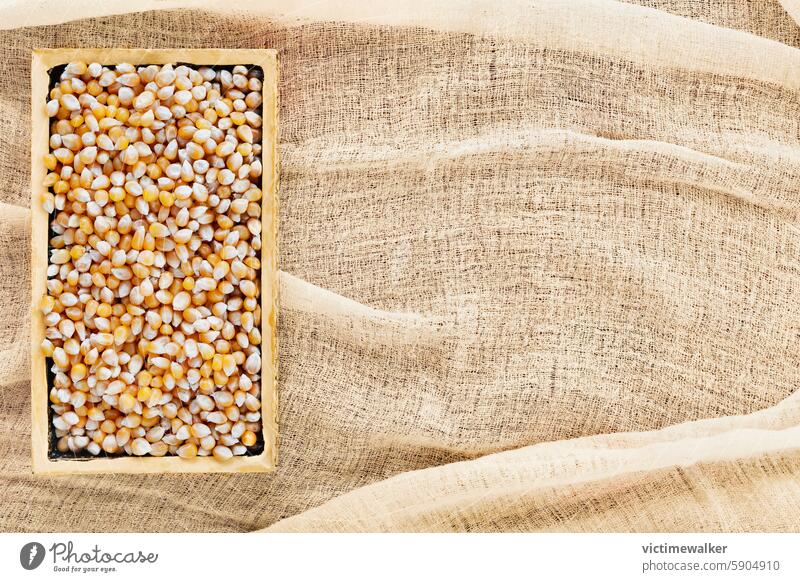 Yellow corn seeds , maize food uncooked yellow grain studio shot copy space cereal dietetic harvest ingredient healthy eating nutrition agriculture indoor