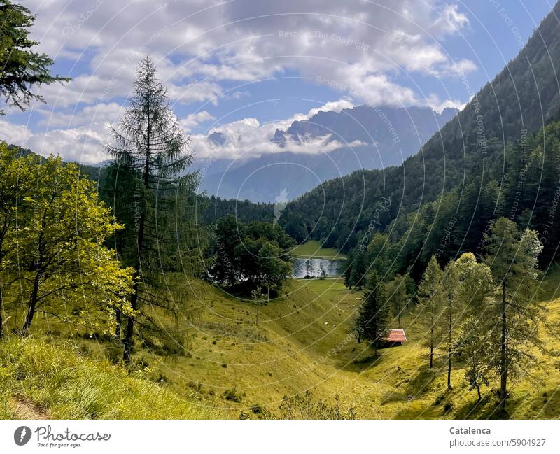 Mountain landscape with lake Alps mountains Lake Landscape Nature Sky Water Environment Idyll Relaxation Calm Forest trees Day Vacation & Travel Hiking Tourism