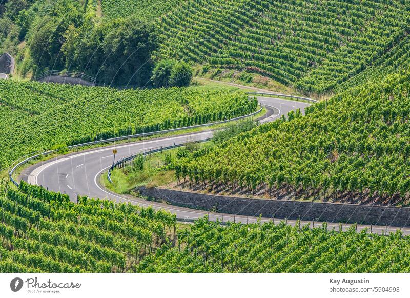 serpentine Ahr valley streets gradient Incline Vineyard viticulture Vineyard idyll Farming Landscapes Green flora Botany Vines Agriculture plants Slope