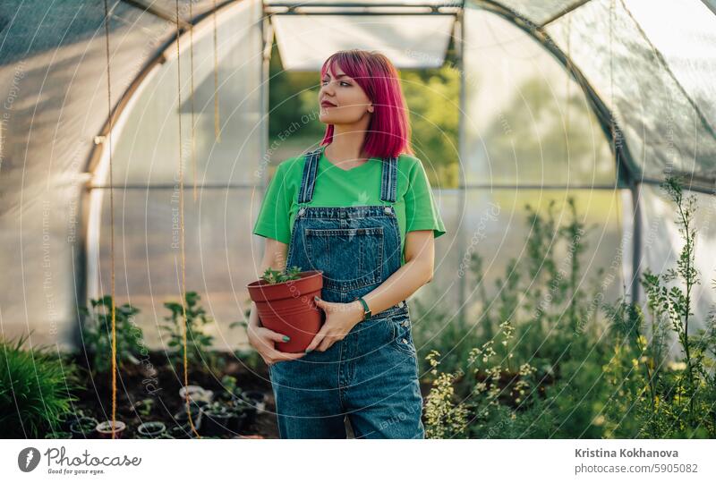 Young pink-haired woman gardener in home greenhouse.Freshly planted plant in pot gardening nature flower horticulture agriculture growth happy natural organic