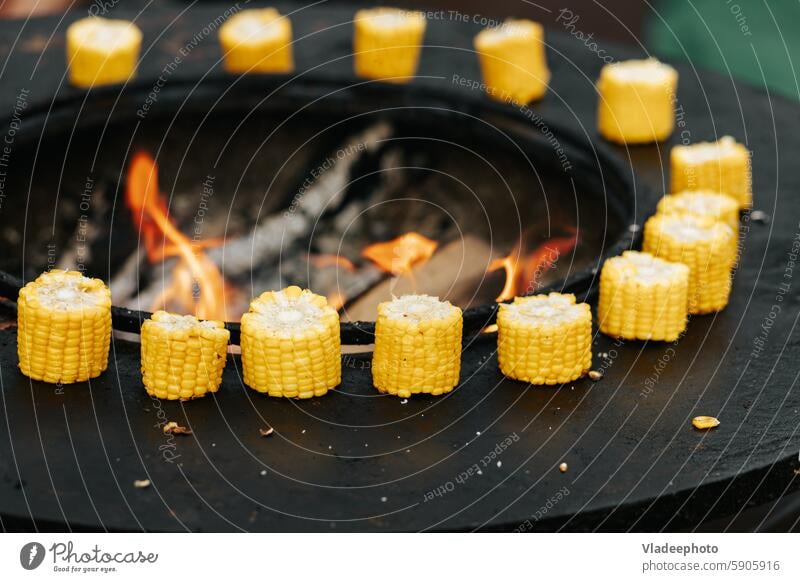 Grilled corn on the cob. isolated on white background top view. grilling corncob food grilled cut piece meal bbq barbecue healthy cooking hot summer stove