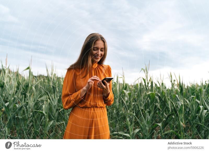 Woman in orange dress using smartphone in cornfield woman brunette smiling looking down technology agriculture rural summer outdoor happy female communication