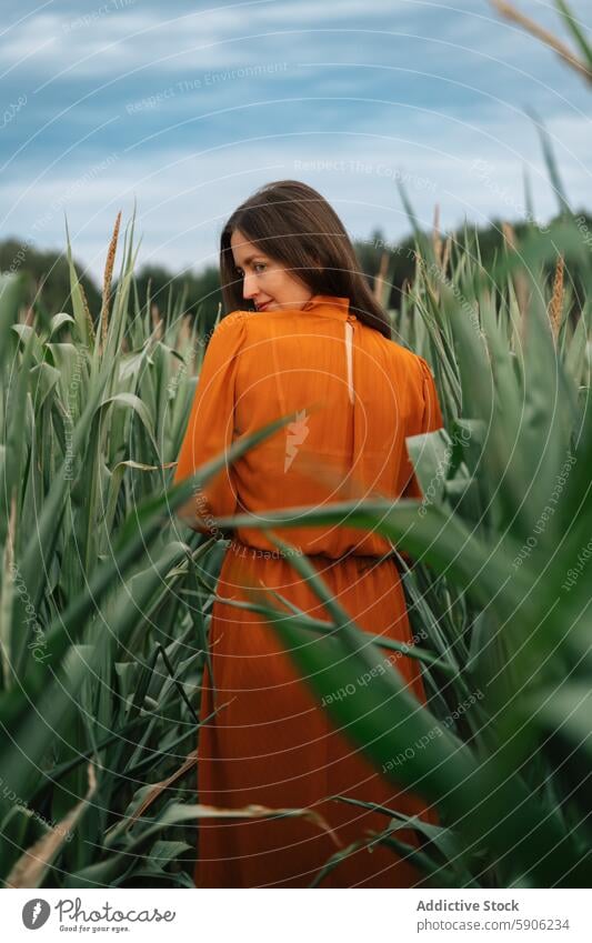 Woman in orange dress looking away in a cornfield woman brunette outdoors nature tranquil serene agriculture green tall plant crop rural solitude peaceful