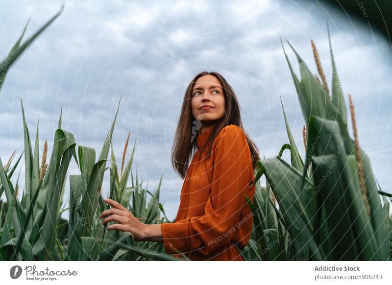 Woman in orange dress enjoying time in a cornfield woman brunette looking up sky contemplative green nature outdoors agriculture farm rural peaceful serene