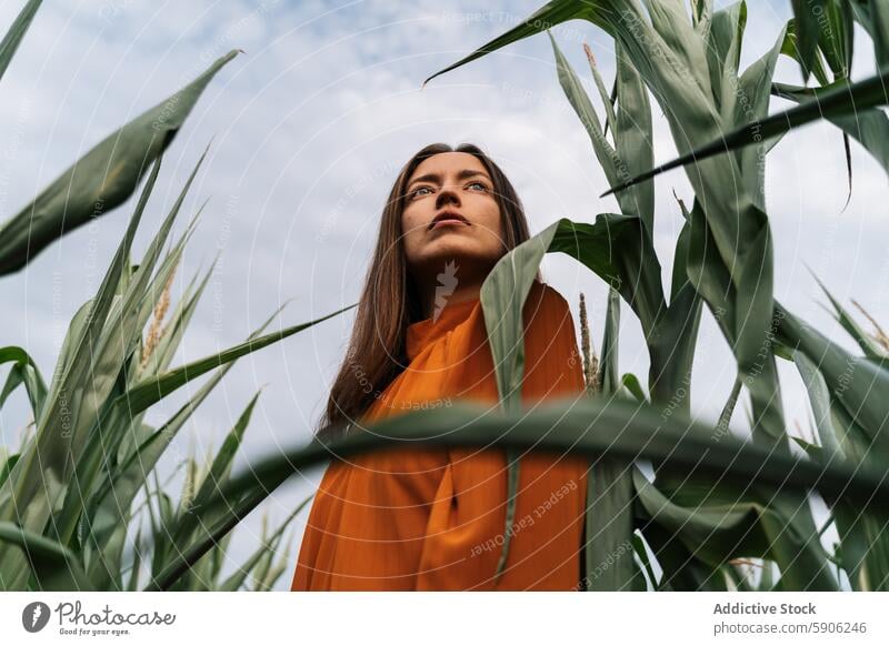 Woman in orange dress enjoying time in a cornfield woman brunette looking away sky contemplative green nature outdoors agriculture farm rural peaceful serene