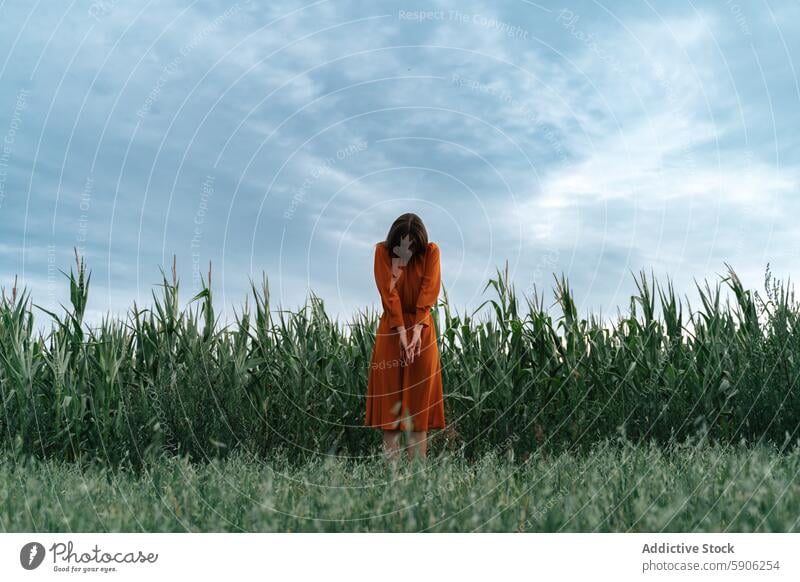 Young woman in orange dress standing solemnly in a cornfield brunette introspective cloudy sky solitude nature outdoors rural scenery agricultural fashion style