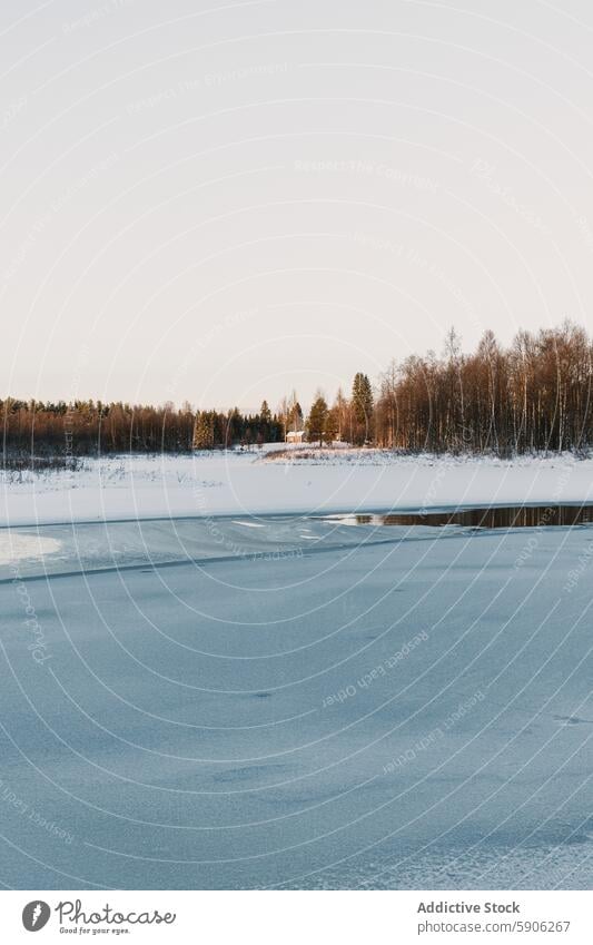 Wintry landscape in Lapland with semi-frozen lake winter aerial view lapland forest snow ice nature scenery cold snowy natural untouched drone view wilderness