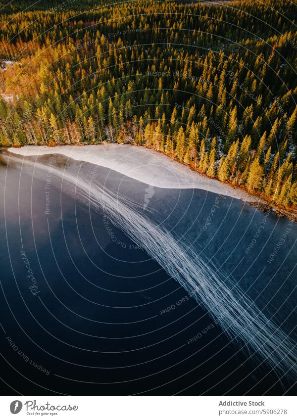 Aerial view of a frozen river winding through a dense forest aerial view taiga autumn lapland nature lake landscape scenic trees wilderness conifer outdoors ice