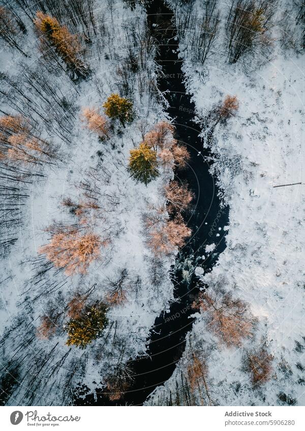 Aerial view of a snowy forest bisected by a river in Lapland lapland aerial view meander finland landscape golden treetop winter snow-covered birds-eye nature