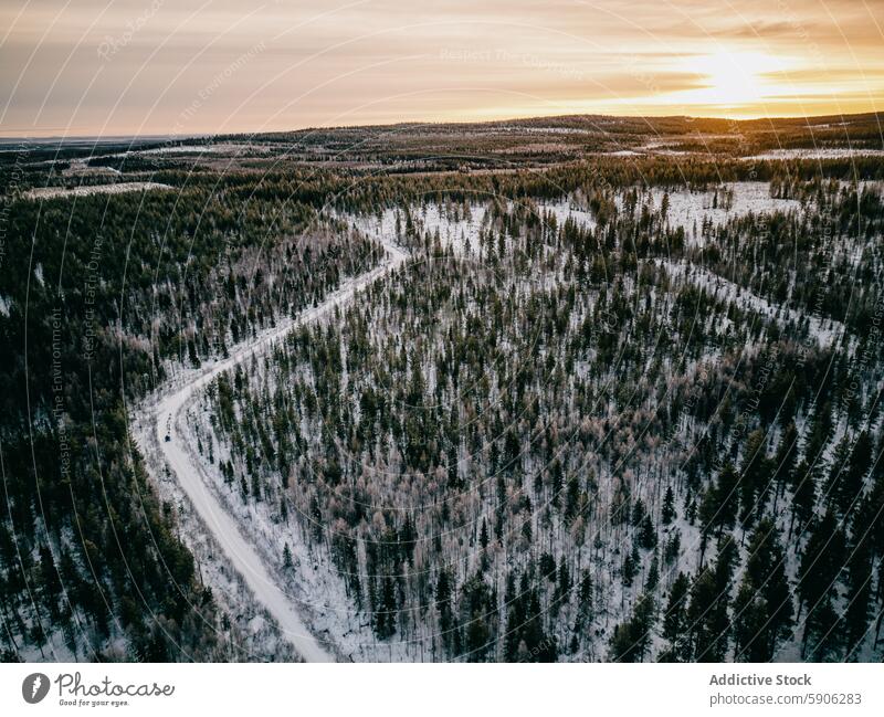 Aerial view of a snowy forest and road in Lapland at dusk aerial view lapland sunset winter landscape drone view tree scenic nature outdoor cold evening