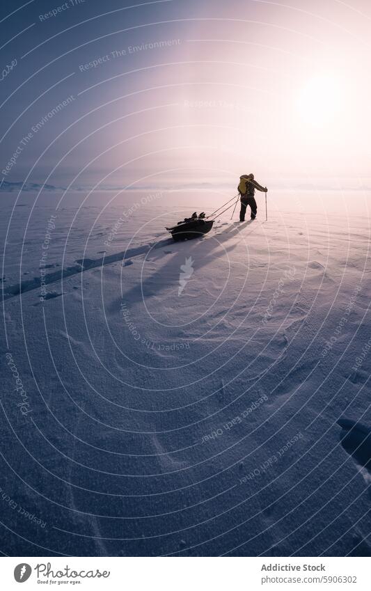 Explorer pulling sled in snowy landscape during sunset explorer cold mountain expedition polar nature outdoor adventure winter solitary solitude male trekking