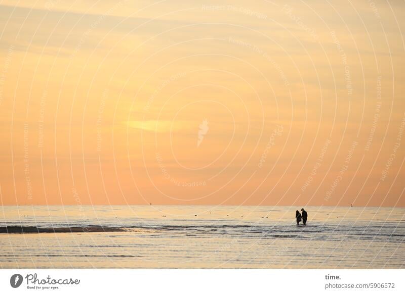 In the evening on the sandbank Sky Clouds Horizon Environment Landscape Nature Baltic Sea Ocean Sandbank two Evening evening light Water Waves