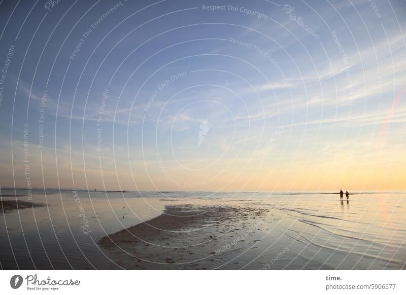 Evening walk through the Baltic Sea Sandbank Water shallow water Sunlight Reflection Illuminate Stand Refreshment tread water Wet Summer Vacation & Travel