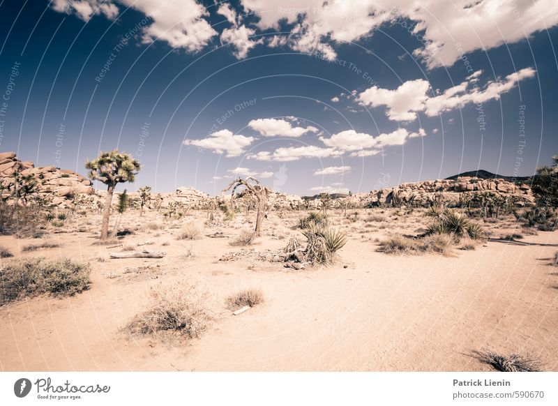 bone dry Contentment Senses Calm Trip Adventure Far-off places Freedom Summer Environment Nature Landscape Elements Earth Sand Sky Clouds Sun Sunlight Climate