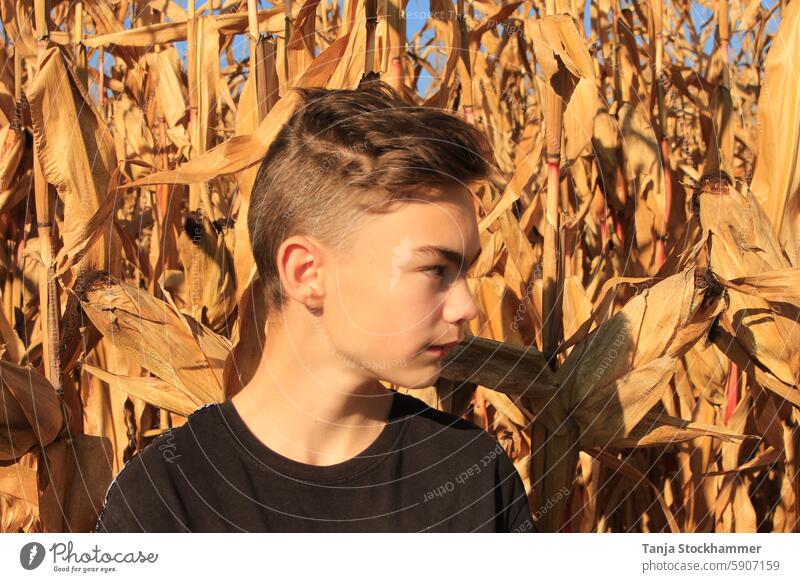 Boy in front of a cornfield portrait Boy (child) laterally Maize field Nature brown hair Face Short-haired Human being Fix View to the side Hair and hairstyles